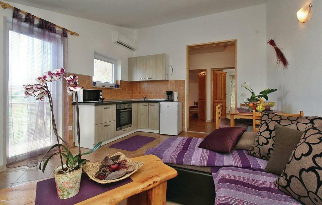 Apartments Vesna Nova Vas  Dış mekan fotoğraf
